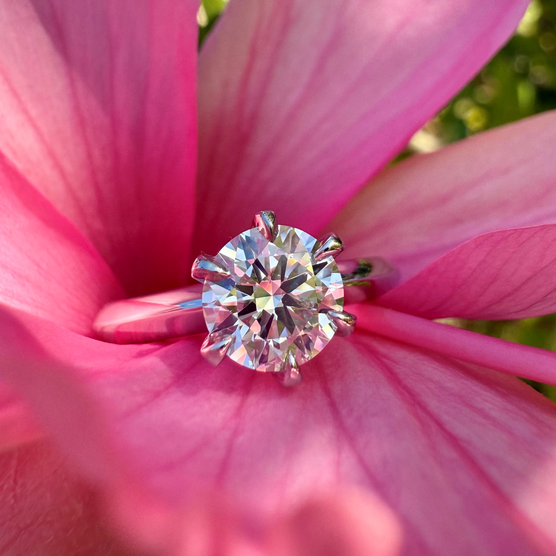 Engagement & Bridal