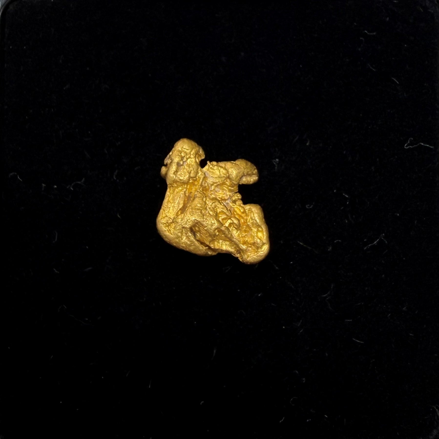 1.52gram Nugget