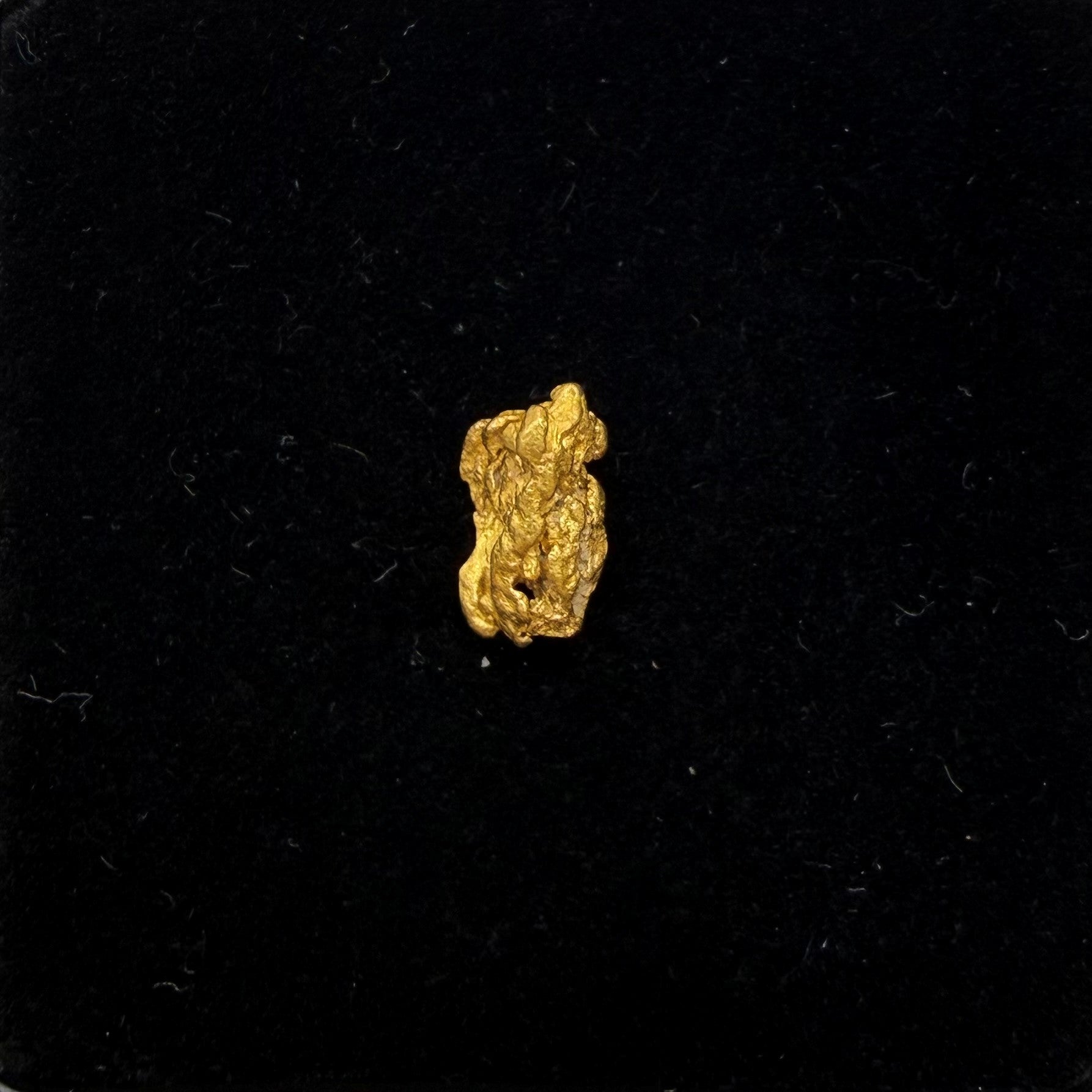 0.59gram Nugget
