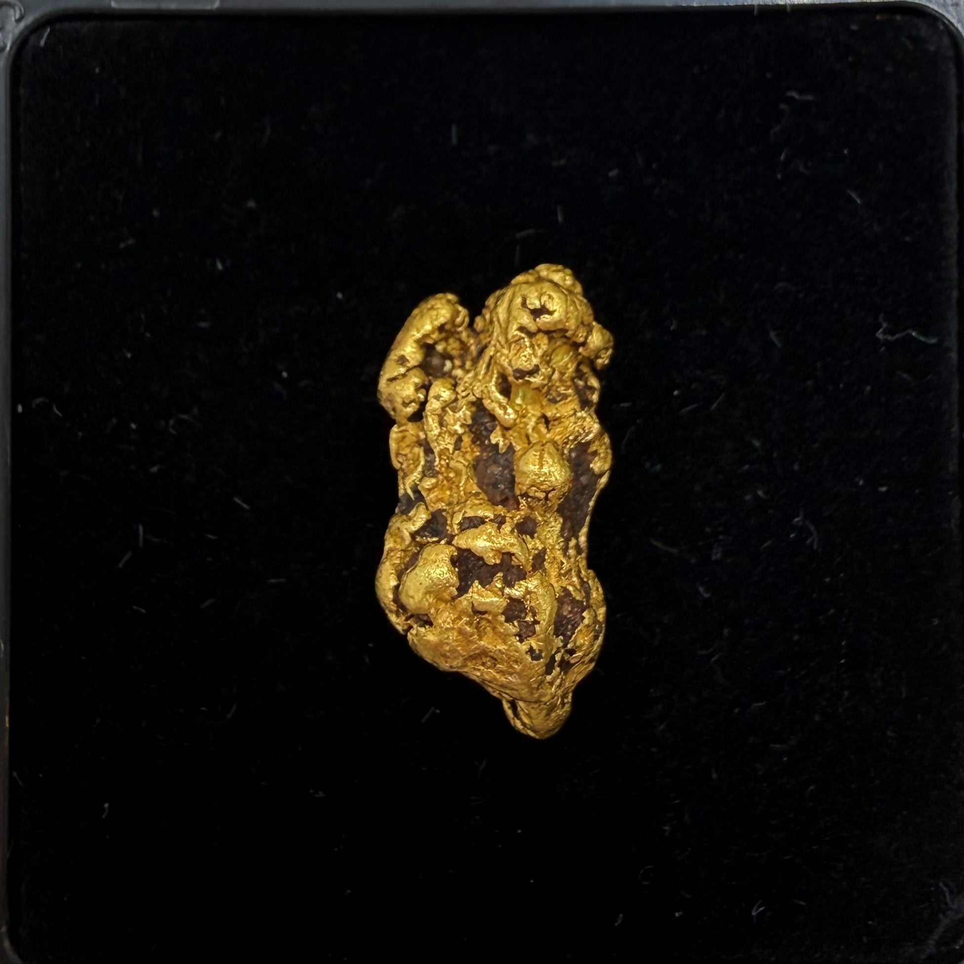 4.63gram Nugget