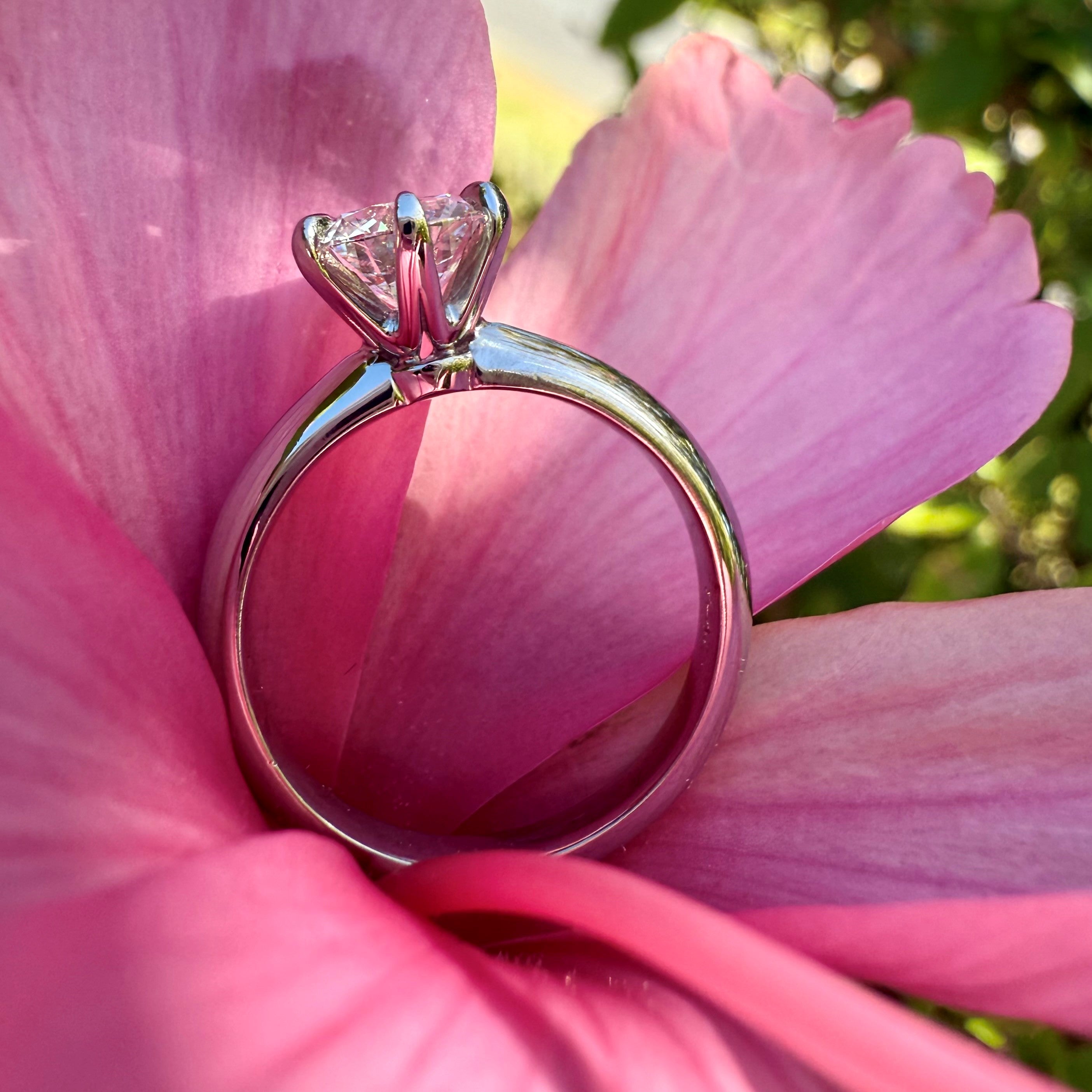 Timeless - 6 Claw Solitaire