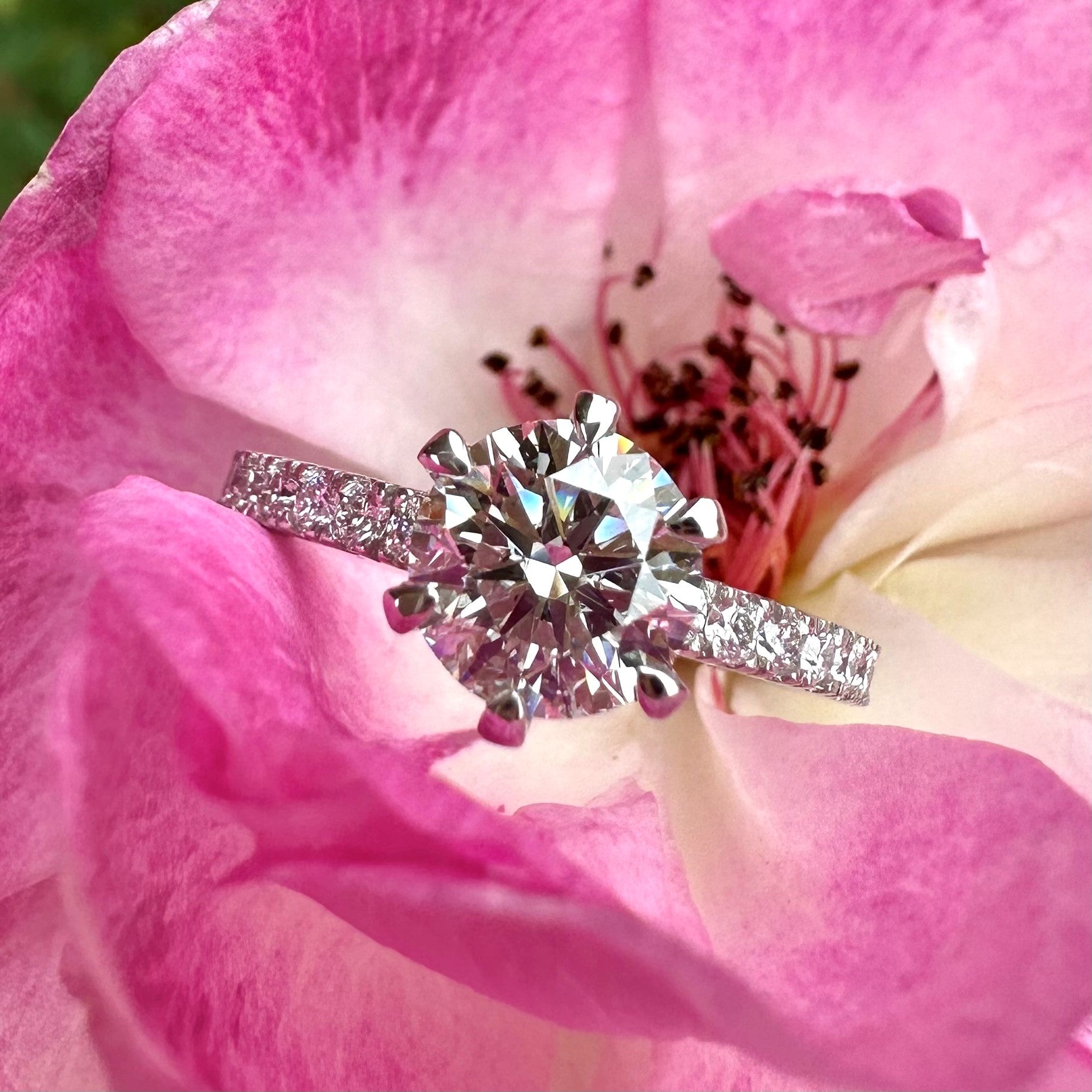 Timeless - 6 Claw Diamond Band