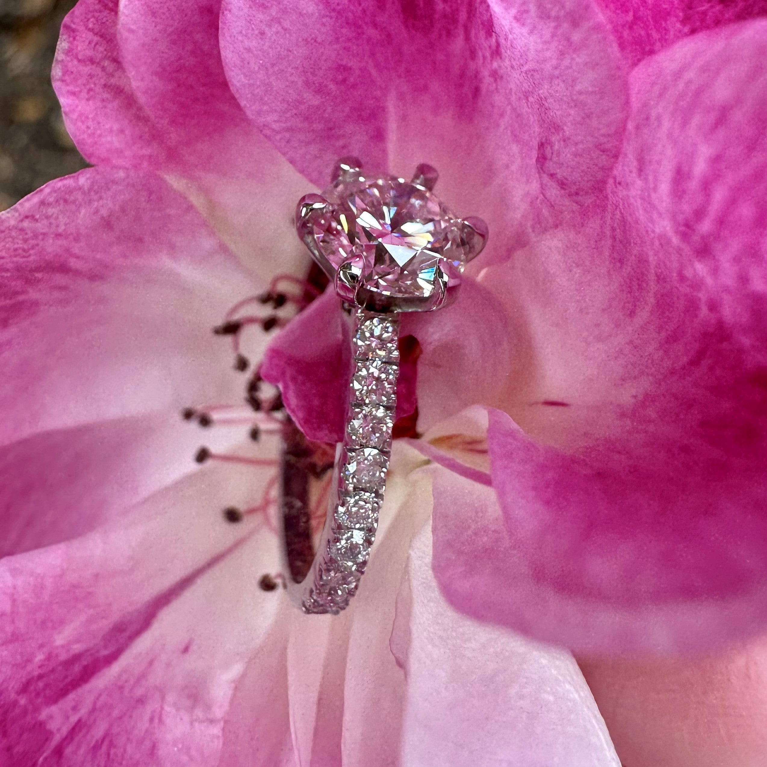 Timeless - 6 Claw Diamond Band